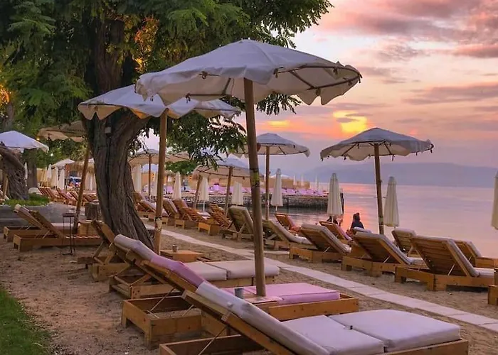 Angio House Apartmán