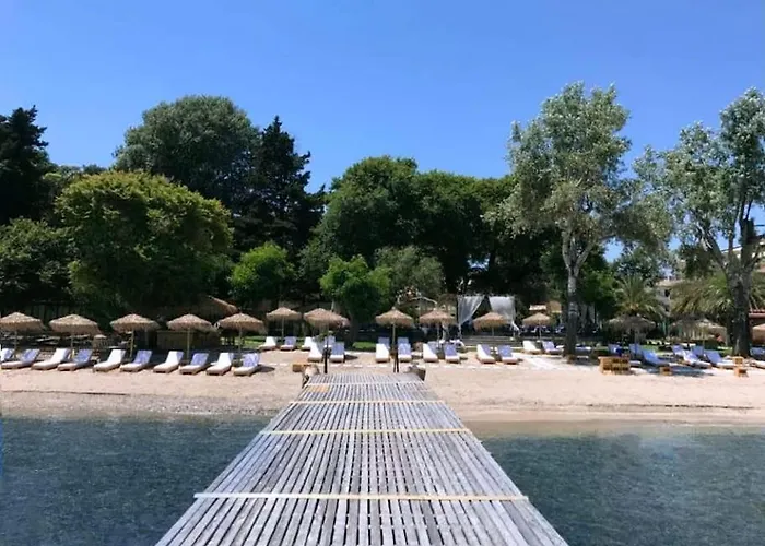 Angio House Apartment